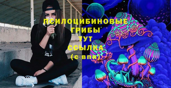 MESCALINE Вяземский
