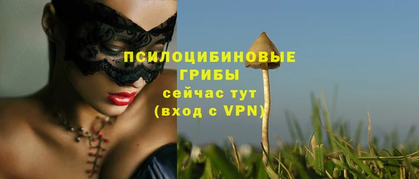 мескалин Вязьма