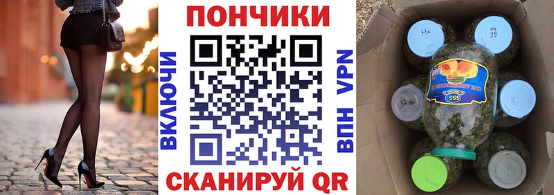 Каннабис гибрид  Купить закладки  Короча 
